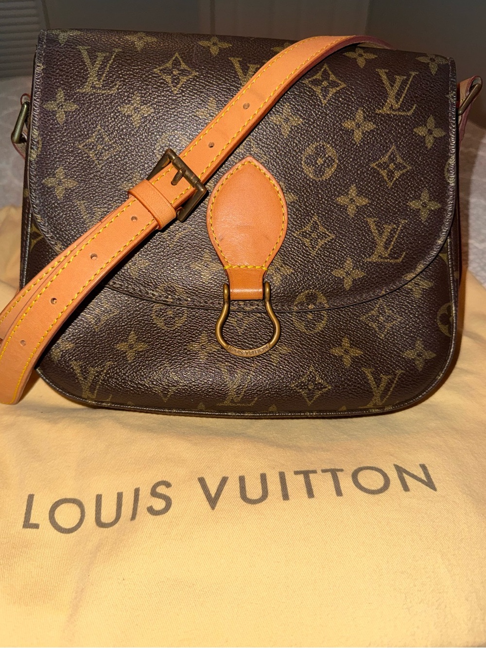 Louis Vuitton Monogram Saint Cloud GM Crossbody Bag - AUTHENTICATED W/ Dustbag